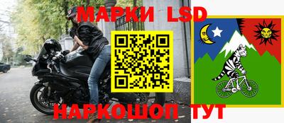 шишки Лесосибирск
