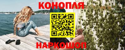 шишки Лесосибирск