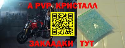 шишки Лесосибирск