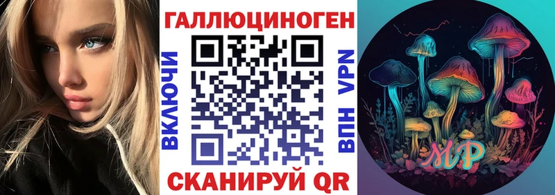 Псилоцибиновые грибы Cubensis Лениногорск