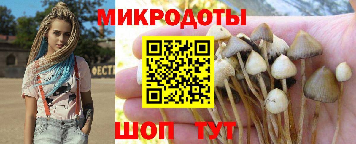 купить наркотик  Вход с VPN  Лениногорск  Псилоцибиновые грибы Psilocybine cubensis 